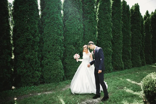 Glückliches Hochzeitspaar beim Spaziergang in einem botanischen Park — Stockfoto