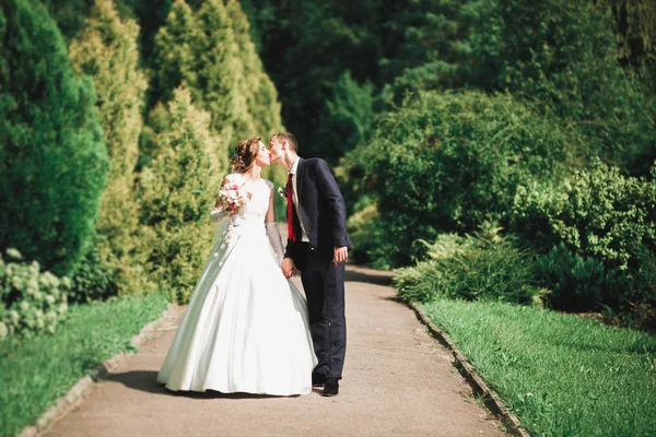 Pareja feliz boda caminando en un parque botánico —  Fotos de Stock