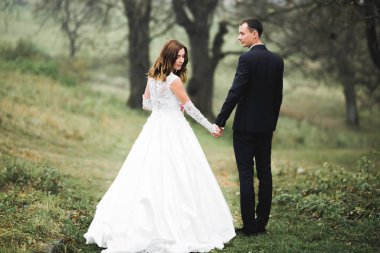 Düğün günü el ele tutuşan çift, damat ve gelin.