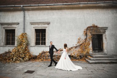 Düğün günü el ele tutuşan çift, damat ve gelin.