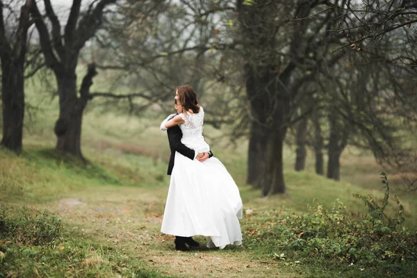Romantico, fiaba, felice coppia di sposi che si abbraccia e si bacia in un parco, alberi sullo sfondo — Foto Stock