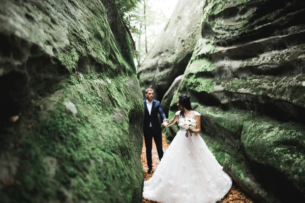 Joyeux couple de mariage marchant dans un parc botanique — Photo