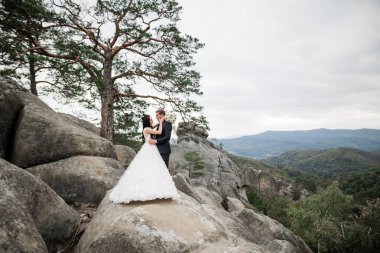 Harika bir gelin damada poz veriyor ve harika manzaralı dağlarda eğleniyor. Mesajlaşacak yer, düğün çifti.