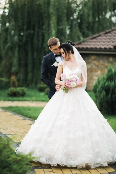 Romantik düğün anı, yeni evli çiftin gülümseyen portresi, gelin ve damadın kucaklaşması — Stok fotoğraf