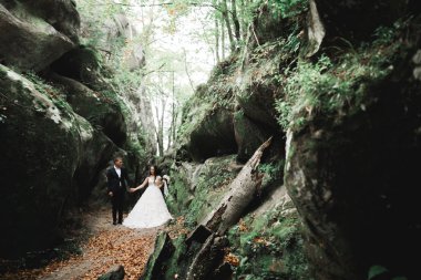 Botanik parkında yürüyen mutlu bir çift.