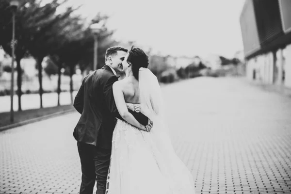 Bela noiva e noivo abraçando e beijando em seu dia de casamento ao ar livre — Fotografia de Stock