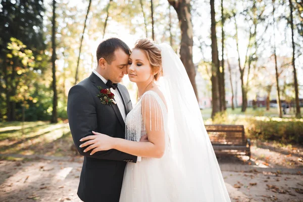 Romantisches, märchenhaftes, glückliches Brautpaar, das sich im Park umarmt und küsst, Bäume im Hintergrund — Stockfoto