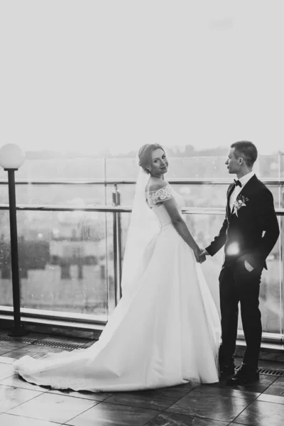 Pasangan berkahwin bergandengan tangan, pengantin pria dan pengantin wanita bersama-sama pada hari pernikahan — Stok Foto