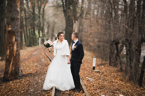 植物公園を歩く幸せな結婚式のカップル — ストック写真