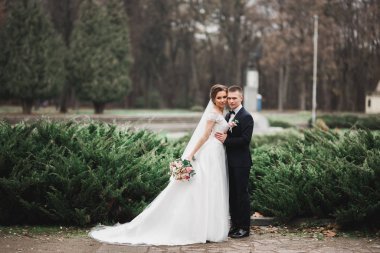 Parkta kucaklaşan yeni evli çiftin güzel romantik düğünü.