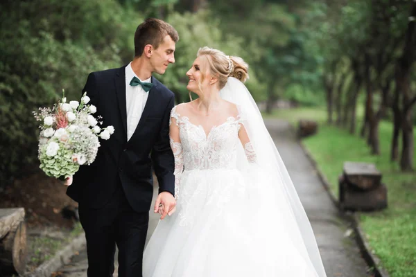 Romántico, cuento de hadas, feliz pareja recién casada abrazándose y besándose en un parque, árboles en el fondo — Foto de Stock