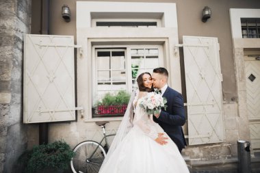 Romantik düğün anı, yeni evli çiftin gülümseyen portresi, gelin ve damadın kucaklaşması