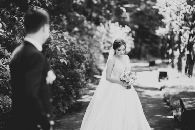 Mutlu düğün çift büyüleyici damat ve mükemmel gelin parkta poz