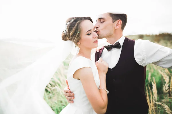 Beautiful wedding couple, love on the sunset. Fielf with flowers — Stock Photo, Image