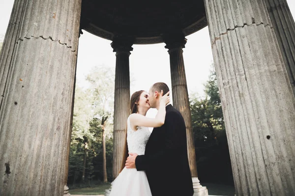 Pareja de bodas de lujo, novios posando en la ciudad de Viena —  Fotos de Stock