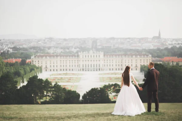 奢华的新婚夫妇，新郎新娘在维也纳摆姿势 — 图库照片