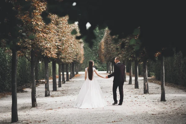 Elegante coppia di sposi felici che passeggiano nel parco il giorno del loro matrimonio con bouquet — Foto Stock