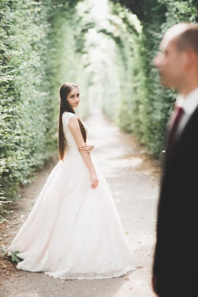 Retrato sensual de una joven pareja de novios. Exterior — Foto de Stock