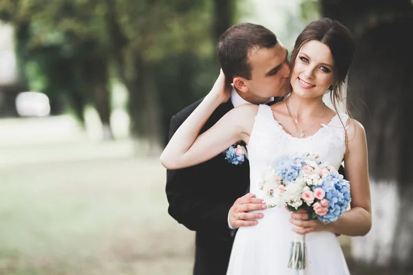 若い結婚式のカップルの官能的な肖像画。屋外 — ストック写真