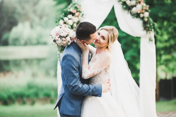 Romantik düğün anı, yeni evli çiftin gülümseyen portresi, gelin ve damadın kucaklaşması — Stok fotoğraf