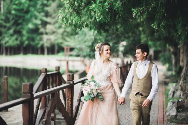 Düğün günü el ele tutuşan çift, damat ve gelin.