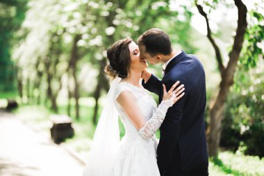 Güzel gelin ve damat evlendikleri gün kucaklaşıp öpüşüyorlar.