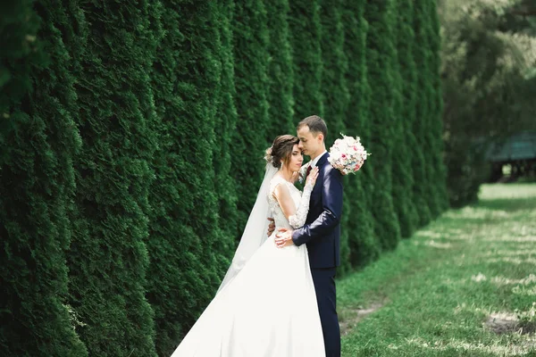 Casamento casal na natureza está abraçando uns aos outros. Menina modelo bonita em vestido branco. Homem de fato — Fotografia de Stock