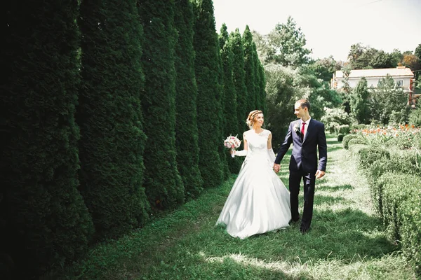 Gelukkig bruidspaar wandelen in een botanisch park — Stockfoto