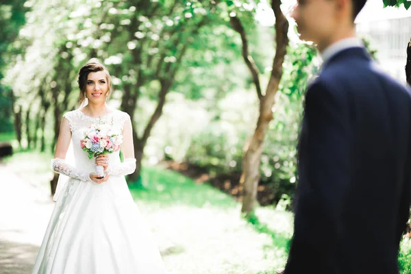 Schönheits-Porträt der Braut trägt modische Brautkleid mit Federn mit luxuriösen Freude Make-up und Frisur — Stockfoto