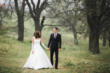 Botanik parkında yürüyen mutlu bir çift.