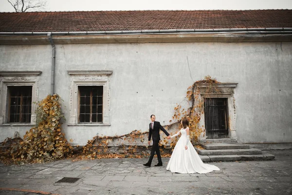 Pareja de boda cogidos de la mano, novio y novia juntos en el día de la boda — Foto de Stock