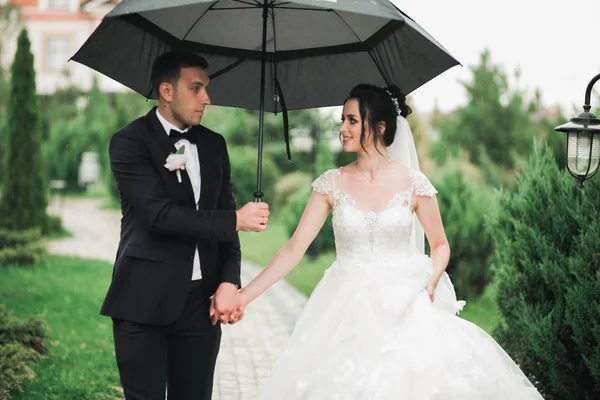 Szczęśliwa para weselna spacerująca w parku botanicznym — Zdjęcie stockowe