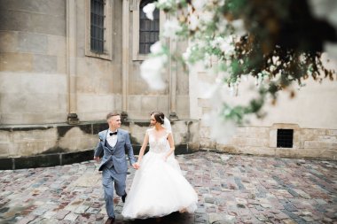 Düğün günü el ele tutuşan çift, damat ve gelin.