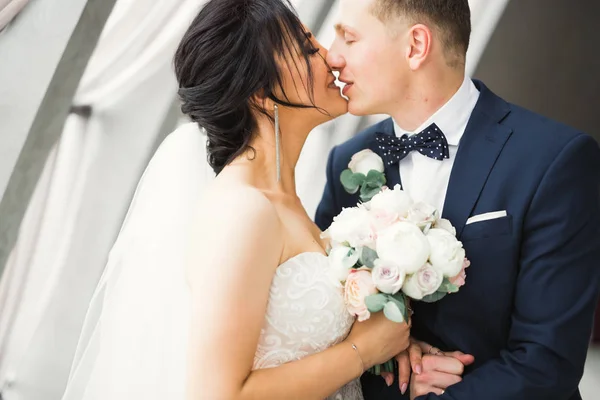 Bella sposa e lo sposo abbracciare e baciare il giorno del loro matrimonio — Foto Stock