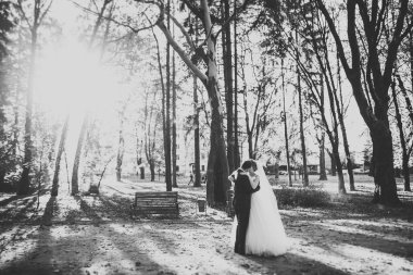 Romantik, peri masalı, mutlu yeni evli çift parkta sarılıp öpüşüyor, arka planda ağaçlar...