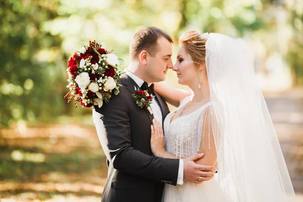 Romantisk, saga, glada nygifta par kramas och kyssas i en park, träd i bakgrunden — Stockfoto