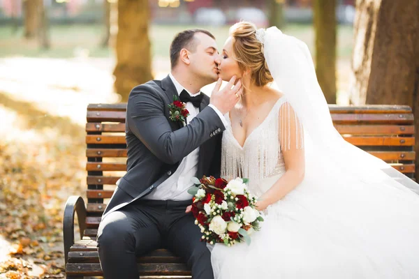 Όμορφη νύφη και γαμπρός αγκαλιάζουν και φιλιούνται την ημέρα του γάμου τους — Φωτογραφία Αρχείου