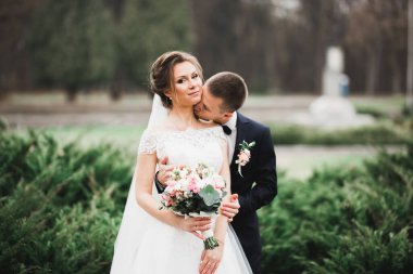 Doğadaki düğün çifti birbirine sarılıyor. Beyaz elbiseli güzel bir kız. Takım elbiseli adam