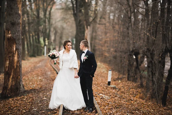 Felice coppia di nozze a piedi in un parco botanico — Foto Stock