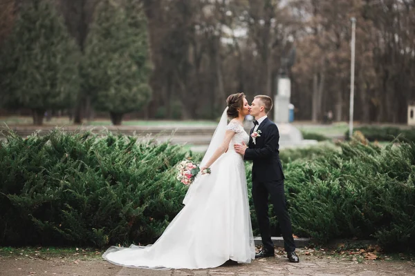 Bela noiva e noivo abraçando e beijando em seu dia do casamento — Fotografia de Stock