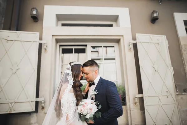 Romantischer Hochzeitsmoment, Brautpaar lächelt Porträt, Braut und Bräutigam umarmen sich — Stockfoto