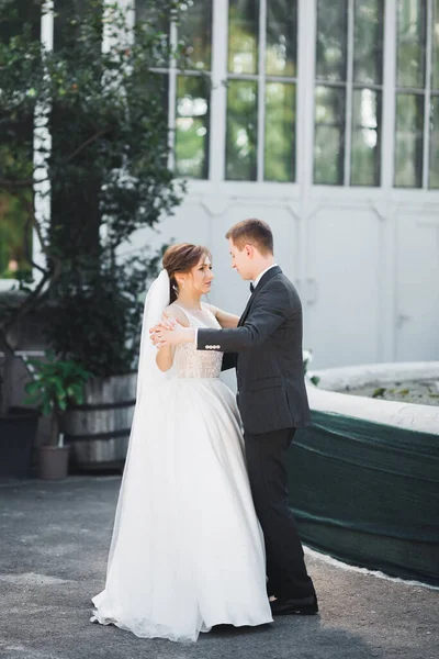 Happy beautiful newlyweds dancing in a park — ストック写真