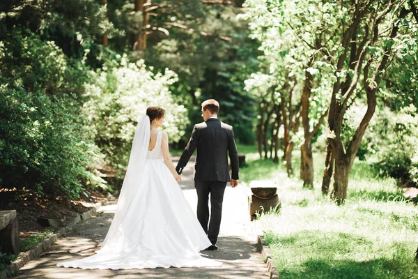 Felice coppia di nozze a piedi in un parco botanico — Foto Stock