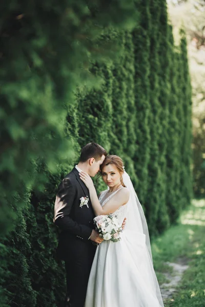 Glückliches Hochzeitspaar charmanter Bräutigam und perfekte Braut posiert im Park — Stockfoto