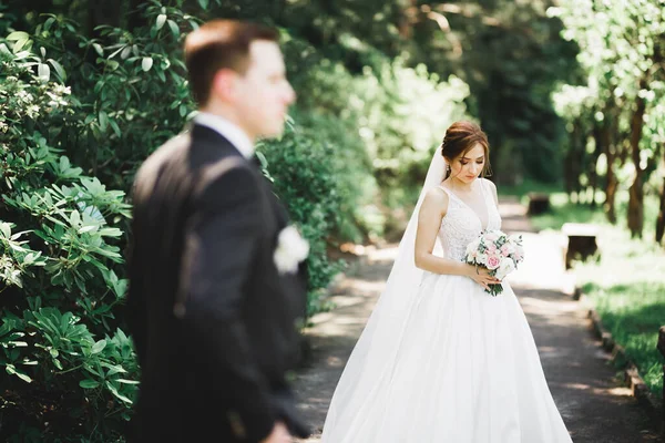 幸せな結婚式カップル魅力的な新郎と公園でポーズをとる完璧な花嫁 — ストック写真