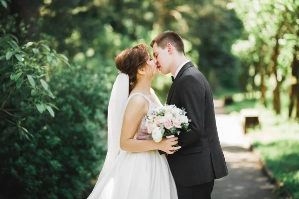 Beautiful bride and groom embracing and kissing on their wedding day — Stock Photo, Image