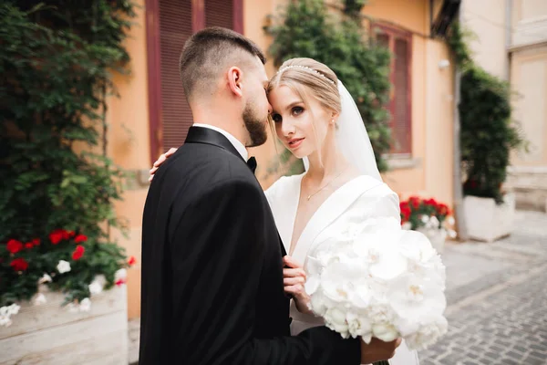 Casal feliz encantador do casamento, noiva com vestido branco longo posando na cidade bonita — Fotografia de Stock