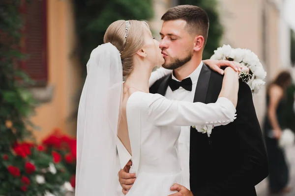 Vacker brud och brudgum omfamnar och kysser på sin bröllopsdag — Stockfoto