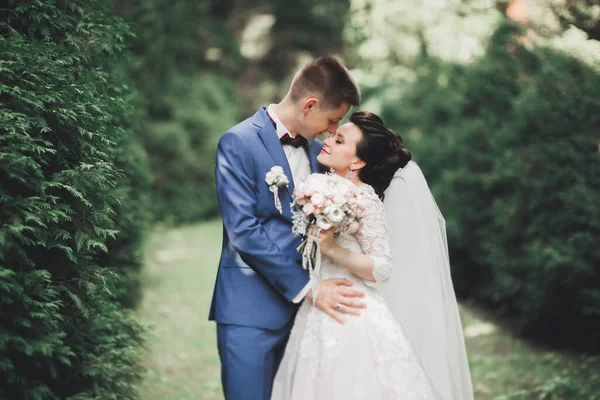 Romántico, cuento de hadas, feliz pareja recién casada abrazándose y besándose en un parque, árboles en el fondo — Foto de Stock