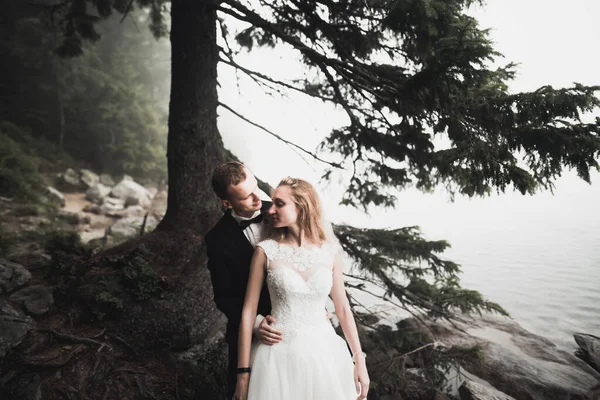 Поцелуй свадебной пары на весеннем портрете природы крупным планом — стоковое фото